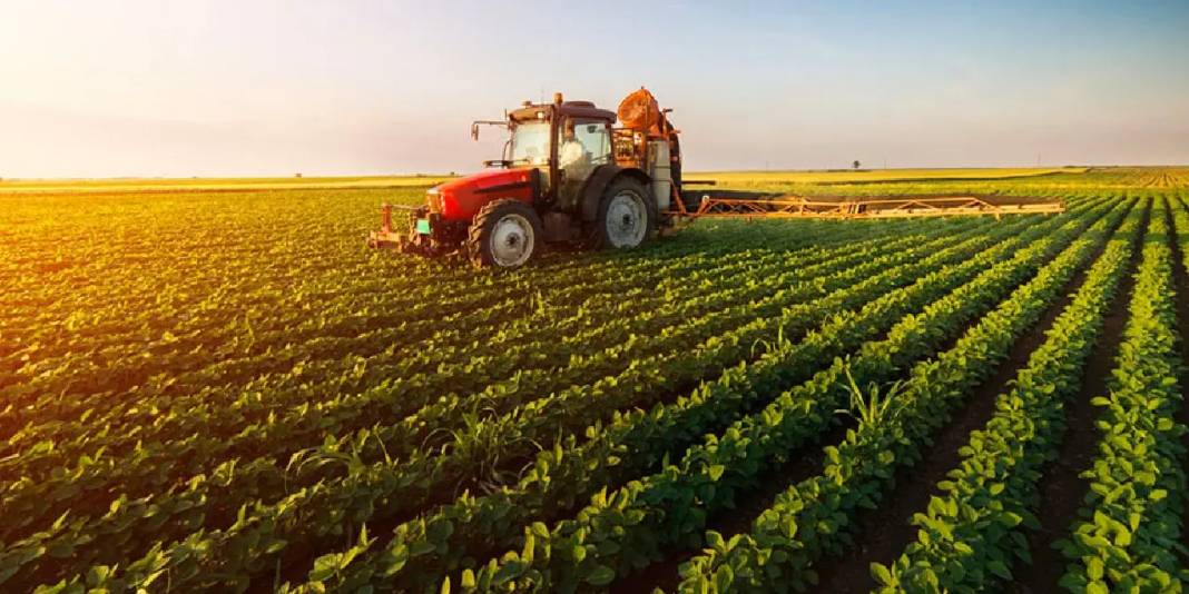 Dünyanın en büyük 15 tarım ekonomisi açıklandı! Türkiye kaçıncı sırada? 4